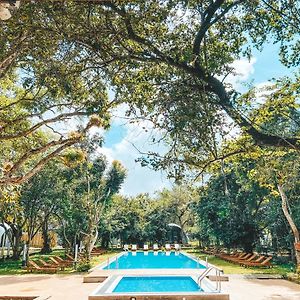 Nivadoo Resort Sigiriya
